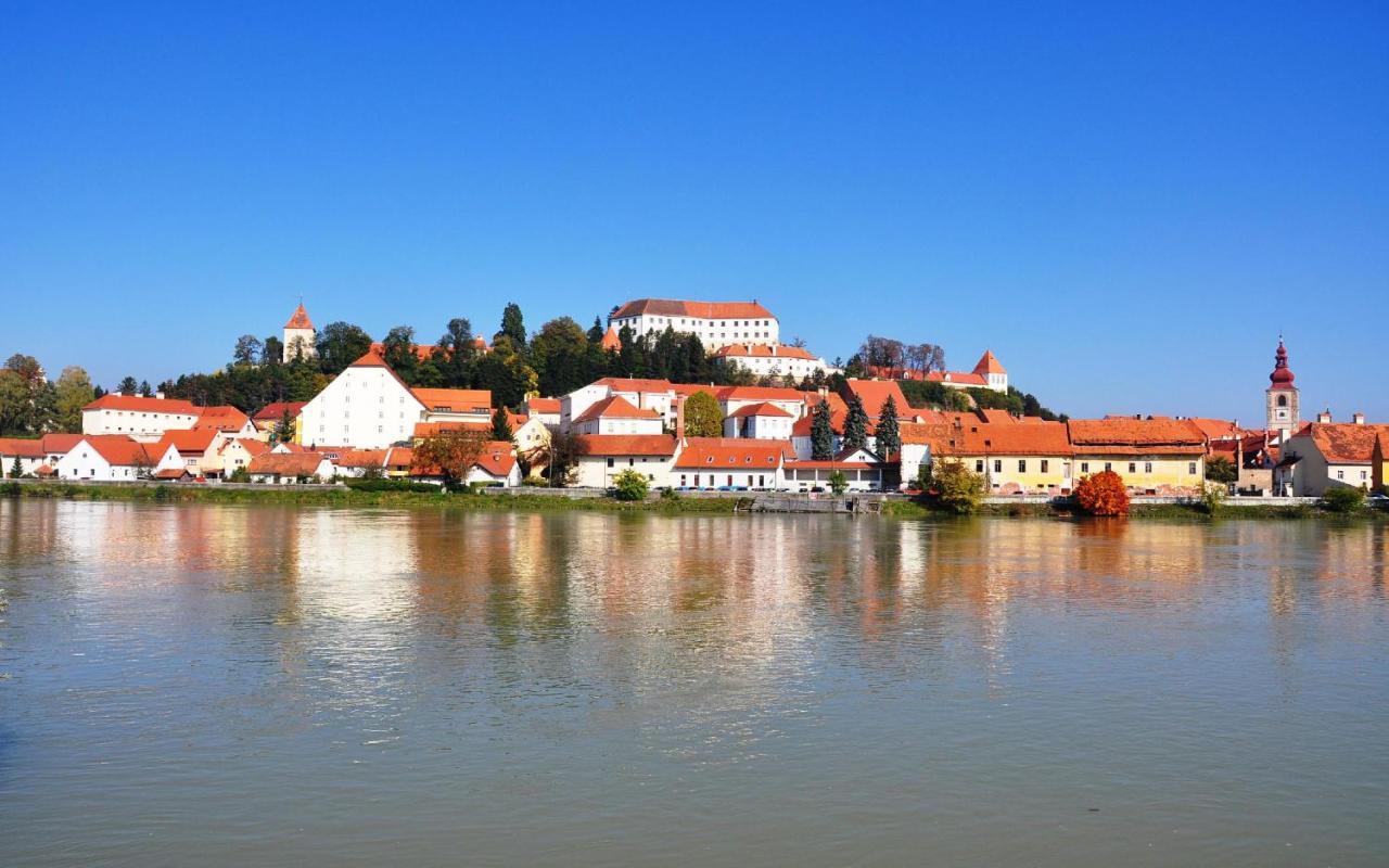 Sobe Grabar Bed and Breakfast Ptuj Buitenkant foto